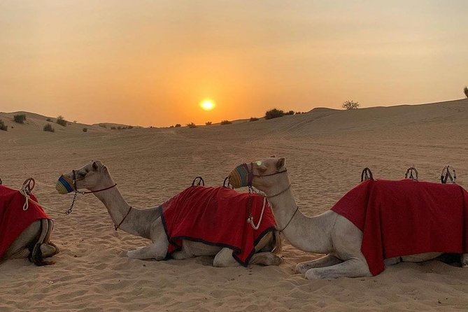 Desert Safari Red Dunes with Camel Ride, Sandboard, BBQ and Shows - The Dune Bashing Ride Is the Main Thrill