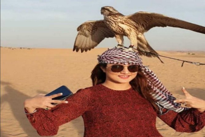 Desert Safari Tour, 6 Hour Fun, Family & Friends, Camel Ride & Dinner Included - Sandboarding and sunset photos in the red dunes