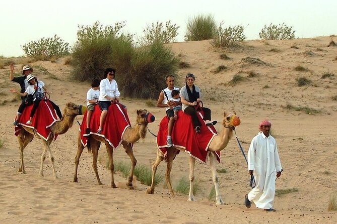 Desert Safari Tour, 6 Hour Fun, Family & Friends, Camel Ride & Dinner Included - Is the small group size useful?