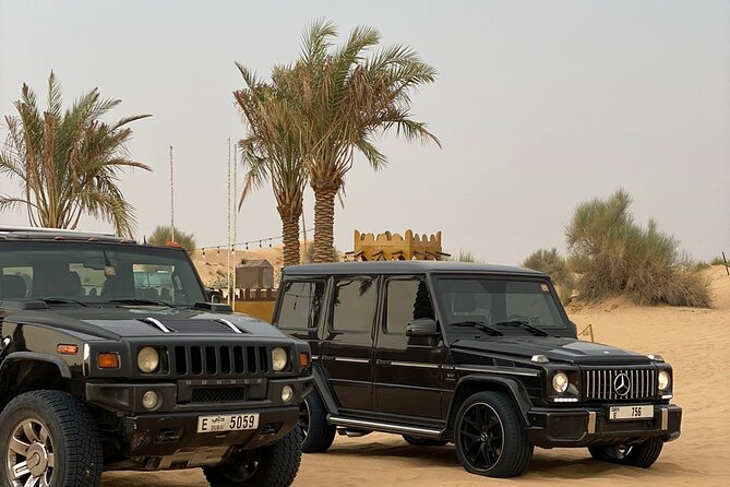 Desert Safari Tour in Dubai (Unique Desert Tourism) - Pickup at 2:30 pm and the trip into the desert