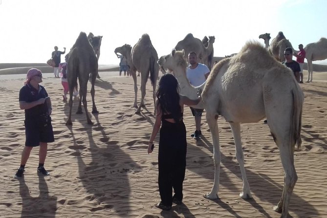 Desert Safari Tour, Quad Bike with BBQ Dinner & Show from Dubai - BBQ dinner under the stars