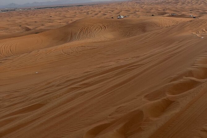 Desert Safari with 30 minutes Buggy Ride with Camel Ride & Dinner - What the six-hour Dubai desert safari includes