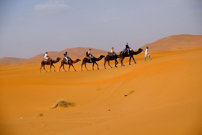Desert Safari with BBQ Dinner from Dubai - BBQ dinner with more than 20 buffet choices