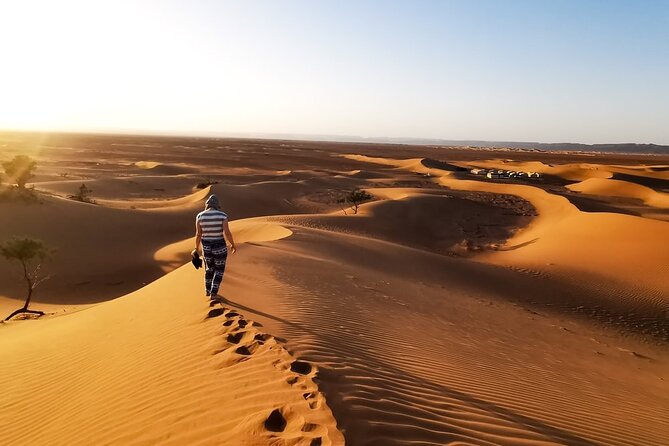 Desert Safari With BBQ Dinner, Quad Ride And And Sand-boarding - Arriving at the Al Awir desert camp
