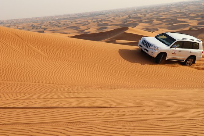 Desert Safari with BBQ Dinner (Sharing/Private) - The camp dinner brings together food and entertainment