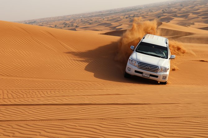 Desert Safari with BBQ Dinner (Sharing/Private) - Practical details that affect your choice