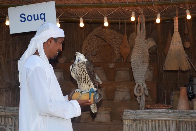 Desert Safari with BBQ Dinner - UAE Must Do - Who will enjoy this seven-hour outing