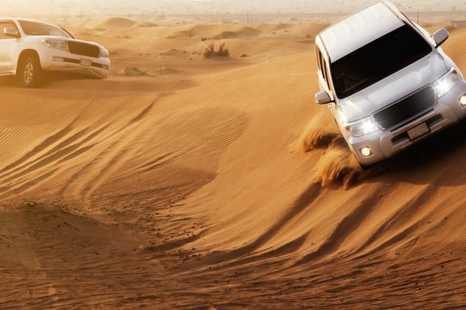 Desert Safari with live shows and BBQ Dinner - Who will enjoy this desert safari most?