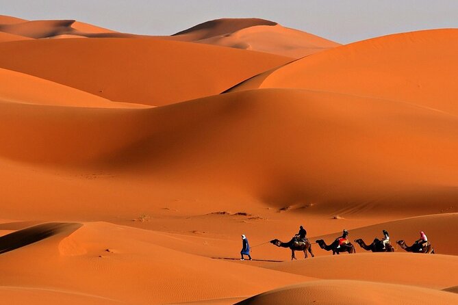 Desert Safari with Quad Bike Ride in Red Dunes - Service, communication, and the practical details