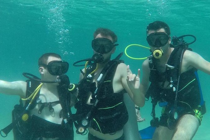 Discover Scuba Diving in Dubai - Key points to know before booking