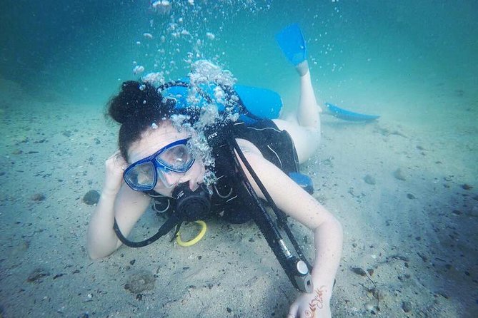 Discover Scuba Diving in Dubai - Starting at Nemo Diving Center on The Palm