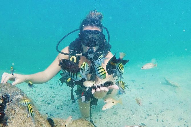 Discover Scuba Diving in Dubai - Who should book this first underwater experience?