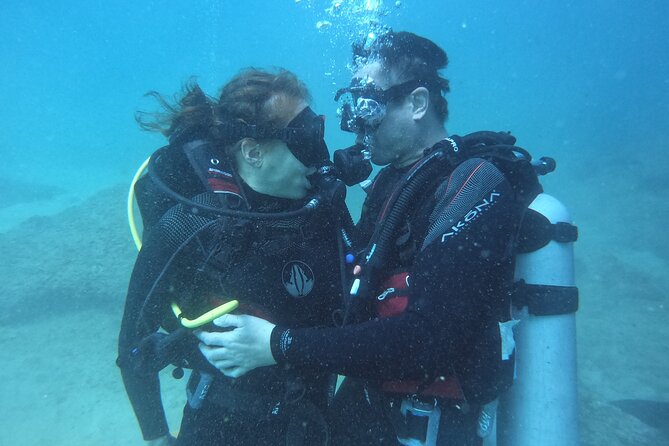 Discovery Scuba Diving in Dubai - Key points to know before booking
