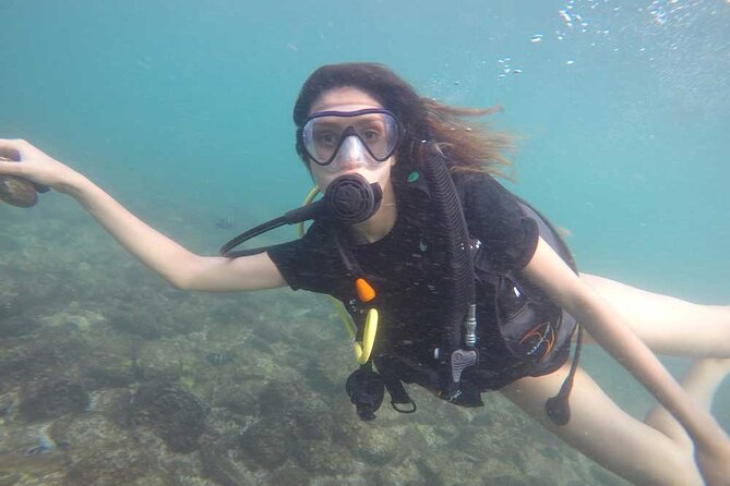 Discovery Scuba Diving in Dubai - Underwater photos and video are part of the value