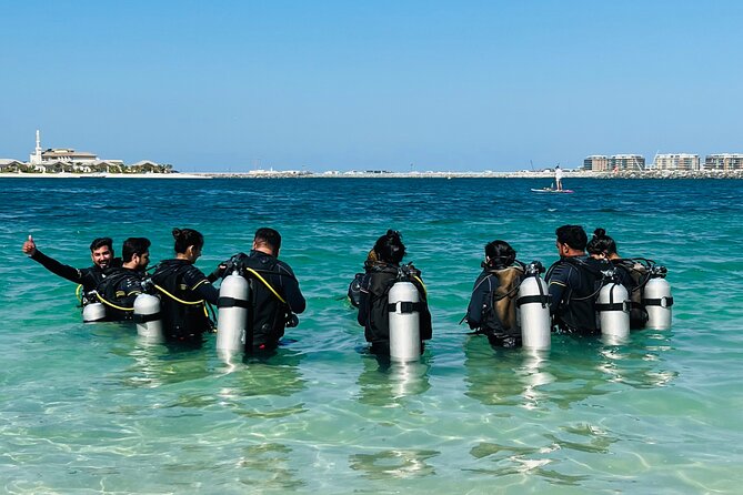 Discovery Scuba Diving in Dubai - Who will enjoy this session most?