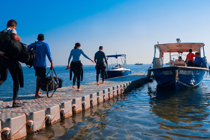 Dive trip to the coral reefs of Fujairah for certified scuba divers - Key Points Before You Book