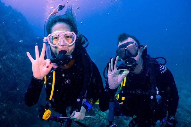 Dive trip to the coral reefs of Fujairah for certified scuba divers - Why Fujairah Makes a Better Scuba Day Than Dubai
