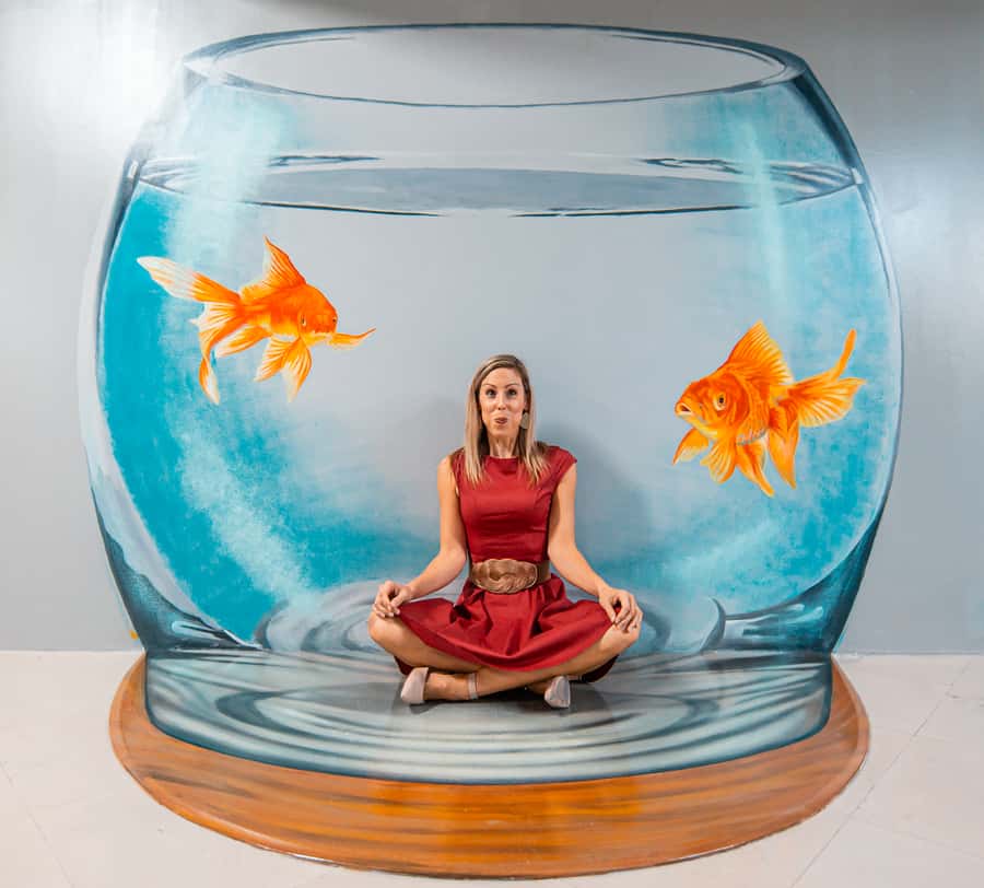 Dubai: 3D World Trick-Art Selfie Museum Entrance - Is $24 a fair price?