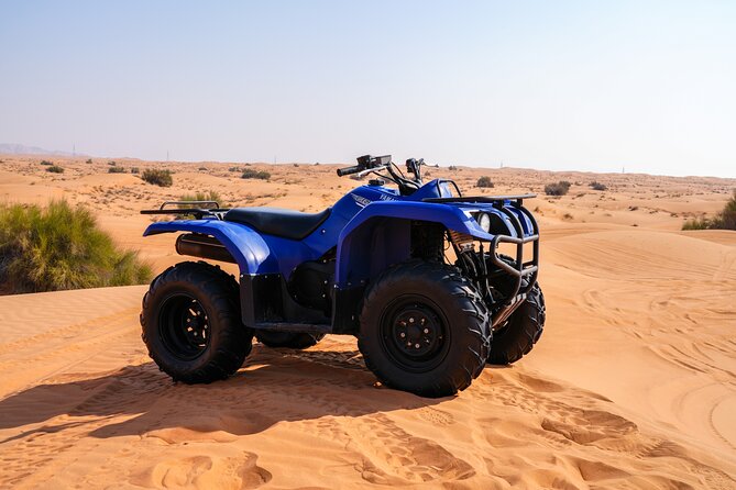 Dubai 4-5 hours Private Quad Bike Tour, Camel Ride and Softdrinks - What the guide adds to the day