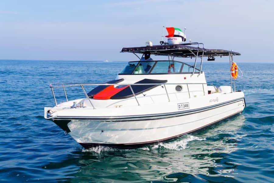 Dubai: 4-Hour Deep Sea Fishing, Trolling, Casting - Who will get the most from this tour?