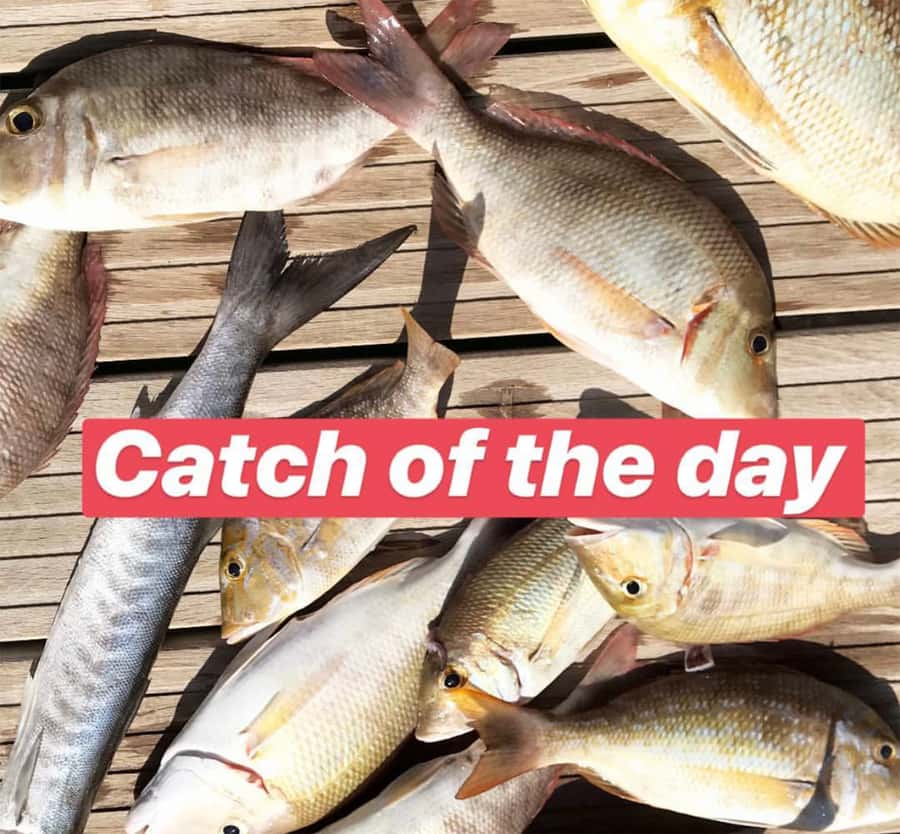Dubai: 4-Hour Private Deep Sea/Trolling Fishing Trip - The Best Parts for Families and First-Time Fishers