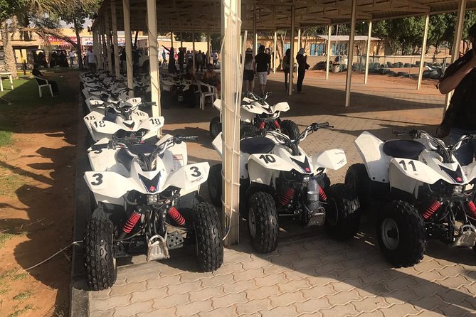 Dubai 4 Tours :Desert Safari,Dubai City Tour,Cruise Dinner & Abu Dhabi City Tour - The desert safari brings the most action