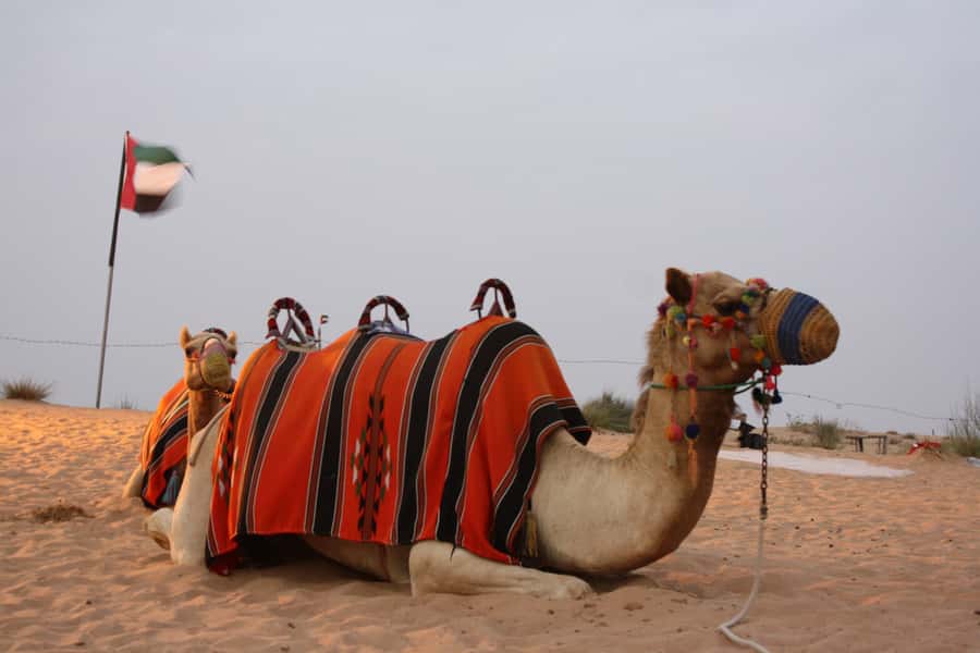 Dubai 4WD Evening Desert Safari - Why this safari works well in Dubai