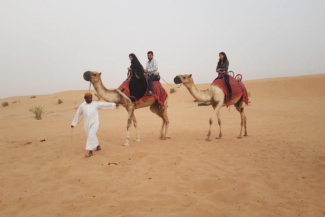 Dubai 4x4 Desert Safari, Quad Bike, Camel Ride & BBQ Dinner - Who will get the most from this safari?