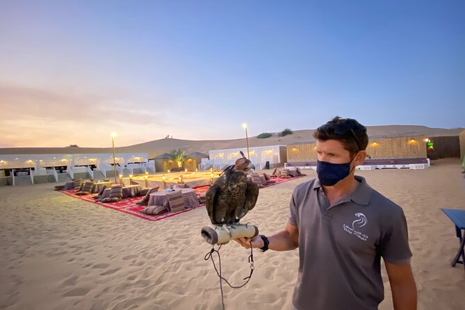 Dubai Afternoon Desert Safari and BBQ Dinner - Camel riding and sand boarding