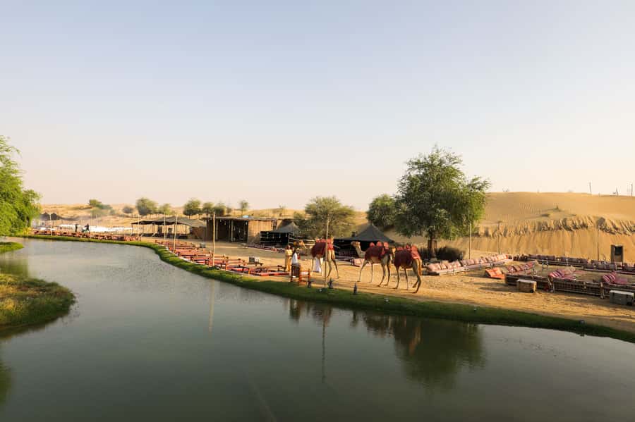 Dubai: Al Marmoom and Al Qudra Lakes Guided Tour with Dinner - Al Qudra Bird Reserve and the Love Lake photographs