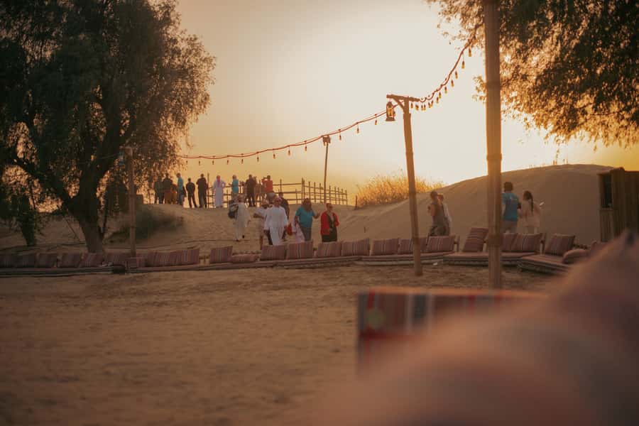 Dubai: Al Marmoom and Al Qudra Lakes Guided Tour with Dinner - Falcons, camels, and a night under the stars