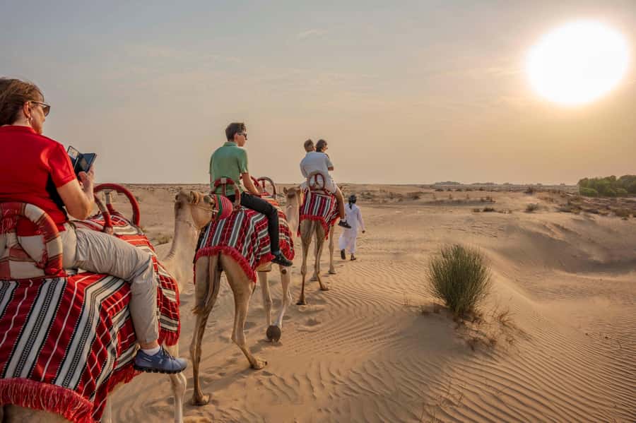 Dubai: Al Marmoom Oasis Camp Experience with Bedouin Dinner - Why Al Marmoom feels different from a quick desert stop