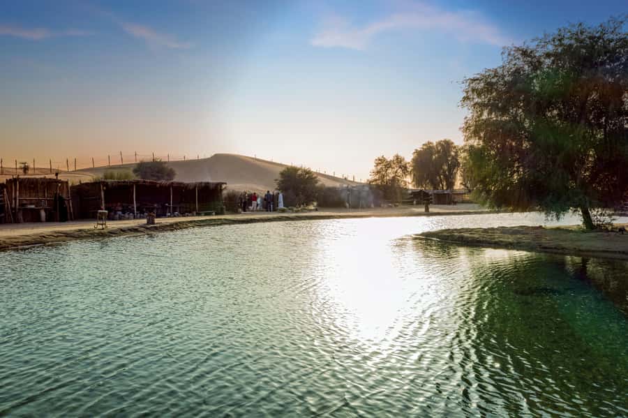 Dubai: Al Marmoom Oasis Safari, Animal Spotting & Breakfast - Bedouin coffee and the Emirati breakfast