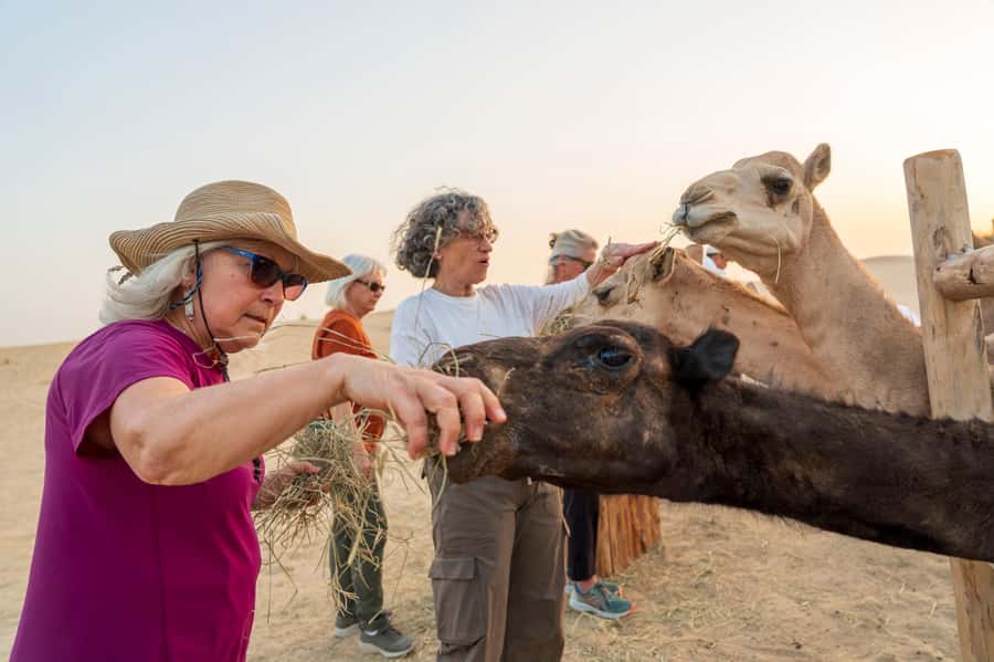 Dubai: Al Marmoom Oasis Safari, Animal Spotting & Breakfast - What the price includes at $134