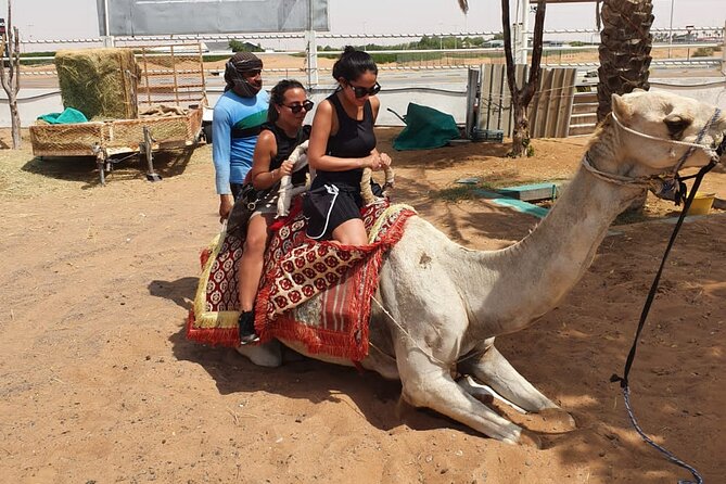 Dubai: All Inclusive Desert Safari with ATV, Camel, Horse ride, Vip & more - Sunset buffet dinner and evening shows