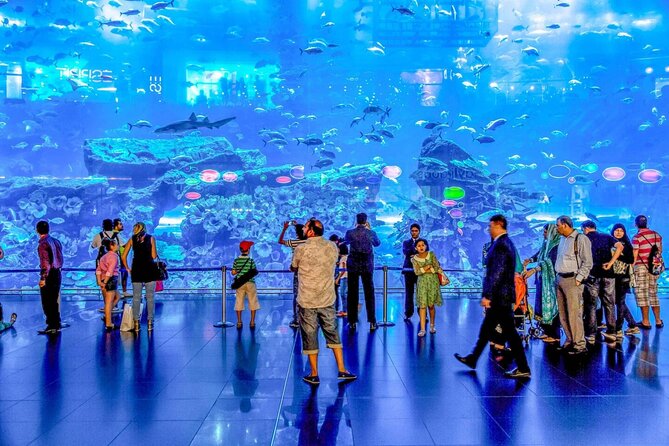 Dubai Aquarium and Underwater Zoo - The 48-meter underwater tunnel