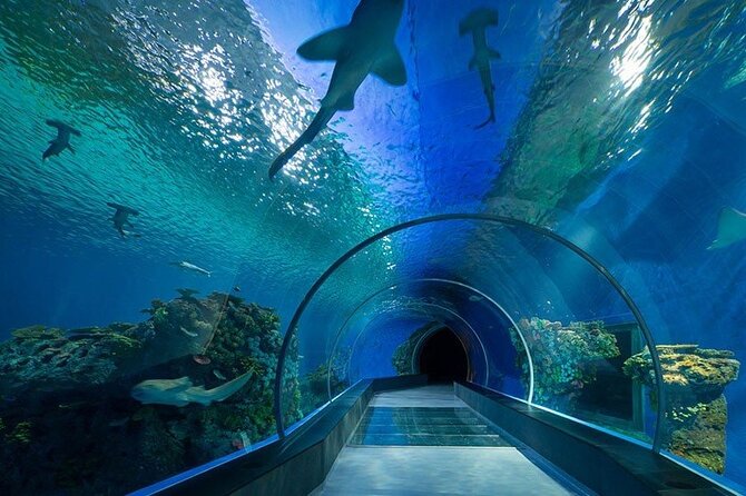 Dubai Aquarium and Underwater Zoo - How long should you allow?
