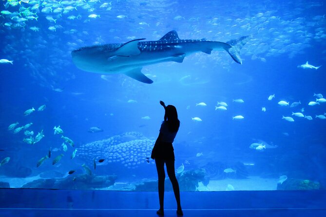 Dubai Aquarium and Underwater Zoo - Is skip-the-line admission worth it?