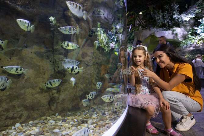 Dubai Aquarium and Underwater Zoo Entrance Ticket - The Underwater Zoo’s wider animal collection