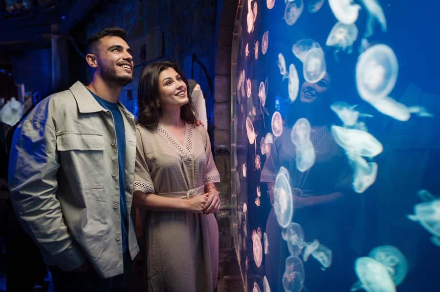 Dubai: Aquarium and Underwater Zoo Experience - Penguin Cove and the Gentoo encounter