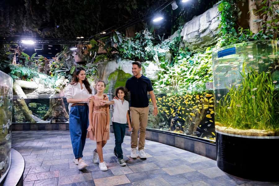 Dubai: Aquarium and Underwater Zoo Experience - FAQ