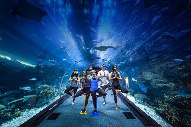 Dubai Aquarium and Underwater Zoo with Penguin Cove Tickets. - How Long You Need and When To Arrive