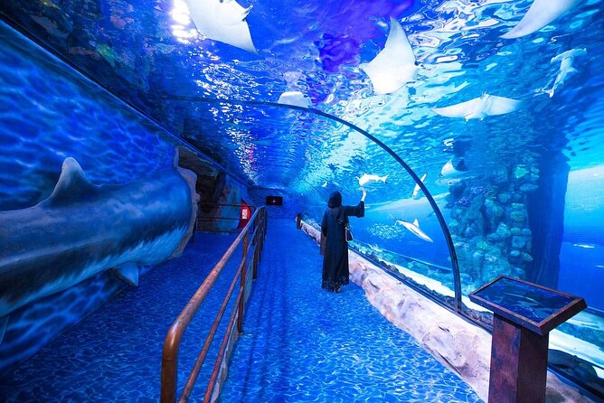 Dubai Aquarium and Underwater Zoo with Penguin Cove Tickets. - Practical Problems To Avoid