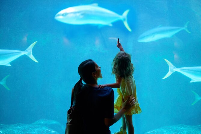 Dubai Aquarium and Underwater Zoo - Three zones, three different kinds of exhibits