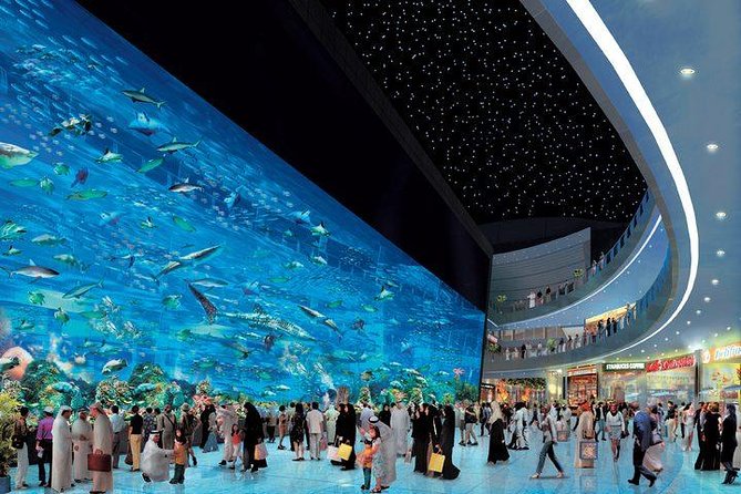 Dubai Aquarium & Level 124 Burj Khalifa Combo - Seeing Dubai Aquarium’s underwater tunnel