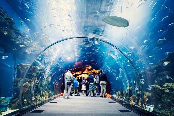 Dubai Aquarium + Penguin Cove Tickets with Transfers - What the $62 price really buys you