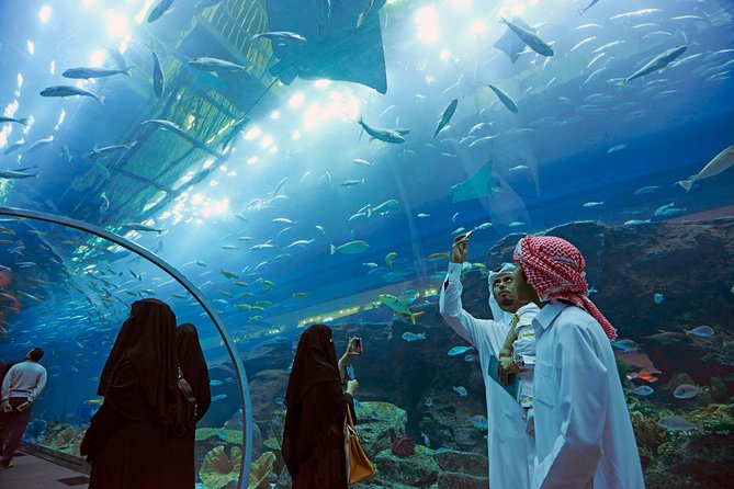 Dubai Aquarium + Penguin Cove Tickets with Transfers - Who will get the most from this attraction