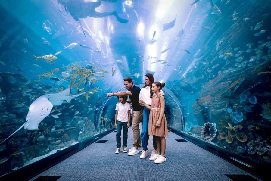 Dubai Aquarium + Sky Views Observatory Tickets - The Glass Slide: Thrill With Limits