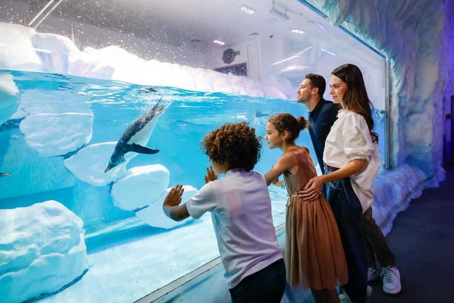 Dubai Aquarium + Sky Views Observatory Tickets - Photo Costs and Extra Charges