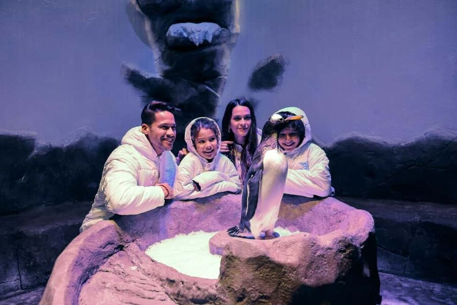 Dubai Aquarium + Sky Views Observatory Tickets - Who Will Enjoy This Combo Most